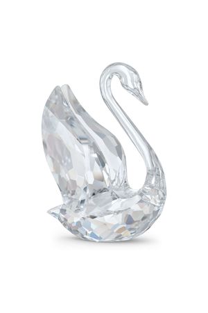 Signum Cisne