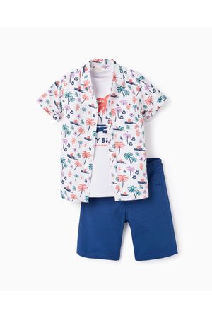 Camisa y Camiseta y Short