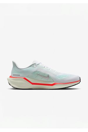 Zapato Nike Pegasus 41