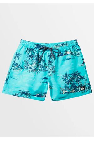 Short de Baño Quiksilver Everyday Mix