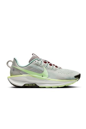 Zapato Nike Pegasus Trail 5