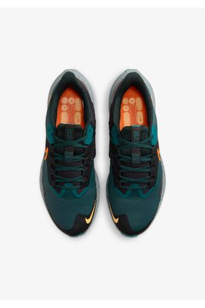 Zapato Nike Pegasus 39 Shield