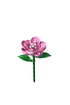 Bloques de construcción de hibiscos